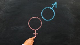 Cerita Ilmu Seks di Manuskrip Kuno Bugis, Ahli Sebut Bukan Pornografi