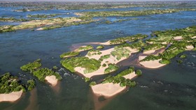 400 Spesies di Mekong Terancam Punah, Lagi-lagi Ulah Manusia