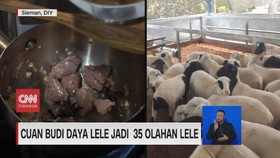 VIDEO: Usaha Kuliner Dari Peternakan Sendiri