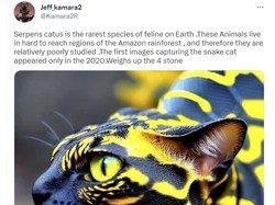 Foto Viral Hewan Kawin Silang Kucing dan Ular, Ini Faktanya