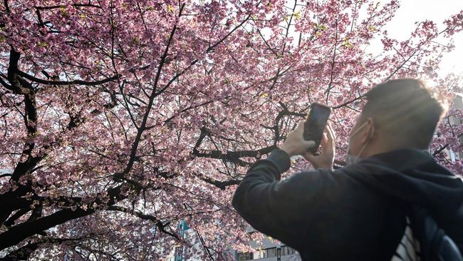 Menurut Japan National Tourism Organization, dengan jumlah 3,08 juta kunjungan turis asing ke Jepang pada Maret lalu, terjadi peningkatan 69,5% dari Maret 2023.