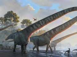 Ternyata Ini Dinosaurus Terpanjang di Bumi, Lehernya Mencapai 15 Meter