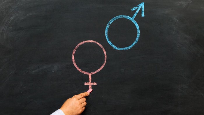 A man's hand with chalk draws a male and female gender symbol on a chalkboard