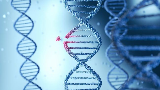 Genomics membuat pengobatan lebih presisi dengan memprediksi risiko penyakit dan memperbaiki DNA penyebab gangguan genetik.