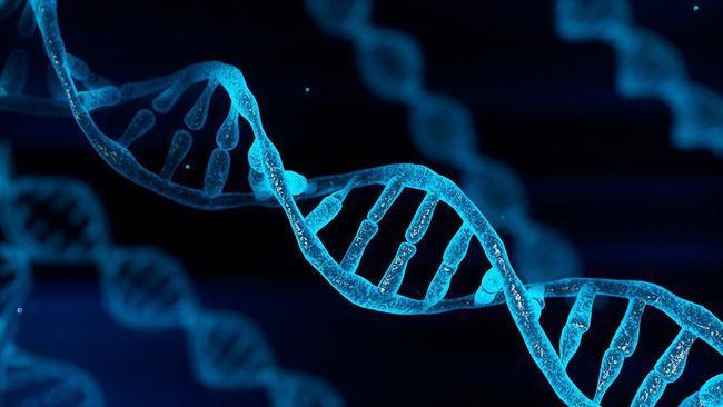 Mutasi adalah peristiwa perubahan bahan genetik (DNA) dari suatu organisme yang bersifat menurun. Kenali klasifikasi dan dampak mutasi!