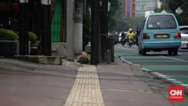 Terulang, Juru Parkir Getok Tarif Rp300 Ribu di Kawasan Istiqlal Seorang pengemudi bus merasa keberatan dengan tarif parkir Rp300 ribu nan kudu dia bayar kepada seorang ahli parkir di area Masjid Istiqlal, Jakarta.