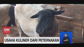 VIDEO: Mendulang Cuan Dari Hasil Ternak Sendiri