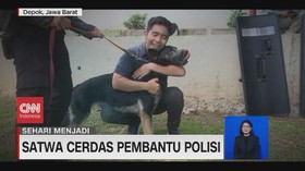 VIDEO: Sehari Menjadi Polisi Satwa