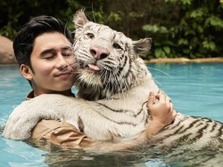 Profil Alshad Ahmad, Sepupu Raffi Ahmad yang Hamili, Nikahi-Ceraikan Nissa Asyifa