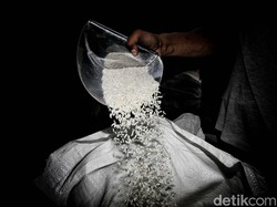 Impor Beras RI Meroket 165,27% di 2024, Ini Rinciannya