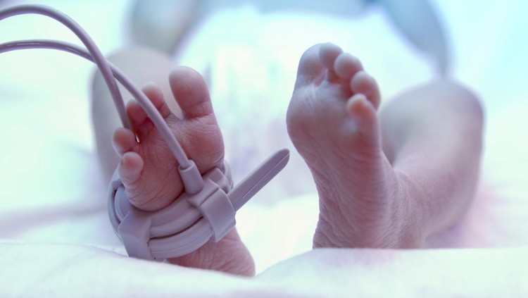Feet of new born baby under ultraviolet lamp in the incubator
