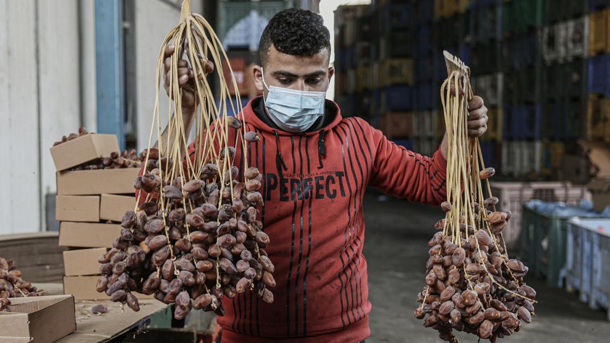 FOTO: Ramadan dan Popularitas Kurma Palestina
