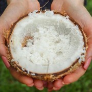 Punya Sisa Kelapa Parut Usai Masak Lebaran, Simak 4 Tips Sederhana Menyimpannya Supaya Nggak Cepat Basi!