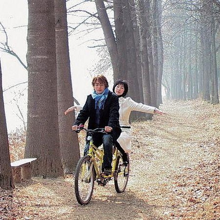 Winter Sonata menyuguhkan kisah cinta, kehilangan, dan pertemuan kembali yang sangat emosional.

Ceritanya berputar di sekitar Joon Sang, siswa pindahan yang bertemu dan jatuh cinta dengan Yu Jin, namun takdir memisahkan mereka setelah Joon Sang mengalami kecelakaan dan amnesia.