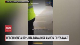 VIDEO: Heboh Denda Rp2 Juta Bawa Bika Ambon di Pesawat