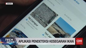 VIDEO: 'Fishku', Aplikasi Pendeteksi Kesegaran Ikan