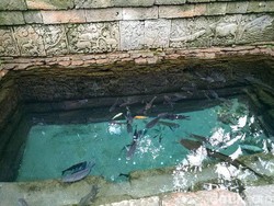 Legenda Lele Putih, Sang Penunggu Kolam Patirtan Candi Penataran Blitar