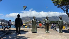 Jatuh Hati pada Kecantikan Cape Town dan Cerita Keluarga Penguin