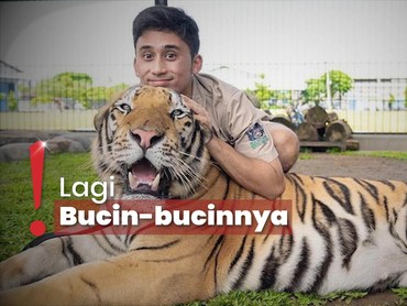 img-title Terungkap Hamili Mantan, Alshad Ahmad Disamakan dengan Ariel NOAH