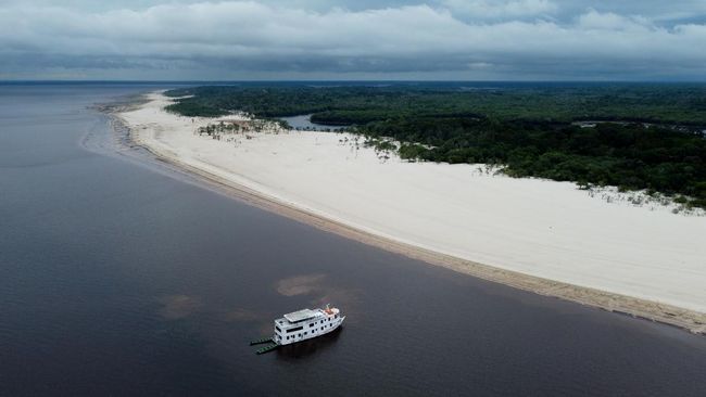 Pada Oktober 2022, CNN Indonesia berkesempatan menyusuri anak Sungai Amazon dan mengamati habitat burung bersama peneliti.
