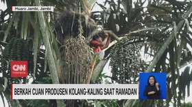 VIDEO: Berkah Cuan Produsen Kolang-Kaling Saat Ramadan