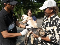Capaian Vaksinasi Rabies di Denpasar Baru 25 Persen