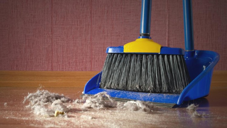Dust on a house floor and floor brush with dustpan background. Home cleaning concept.