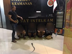 Polisi Terluka Saat Amankan Gerombolan Gangster di Surabaya