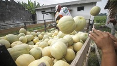 FOTO: Segarnya Permintaan Buah Saat Ramadan