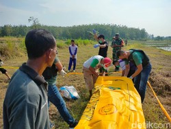 Akhir Dendam Petani Tuban Bunuh Tetangga yang Bawa Kabur Istri