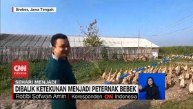 VIDEO: Dibalik Ketekunan Menjadi Peternak Bebek