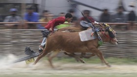 img-title FOTO: Karapan Sapi, Merawat Tradisi Kebanggaan Orang Madura
