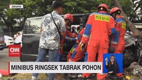 VIDEO: Minibus Ringsek Tabrak Pohon
