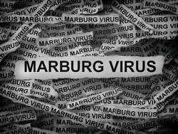 Rwanda Mulai Uji Coba Vaksin Virus Marburg ke Manusia