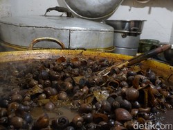 Pedasnya Nagih! Keong Sawah Jadi Menu Ramadan Favorit di Purwokerto