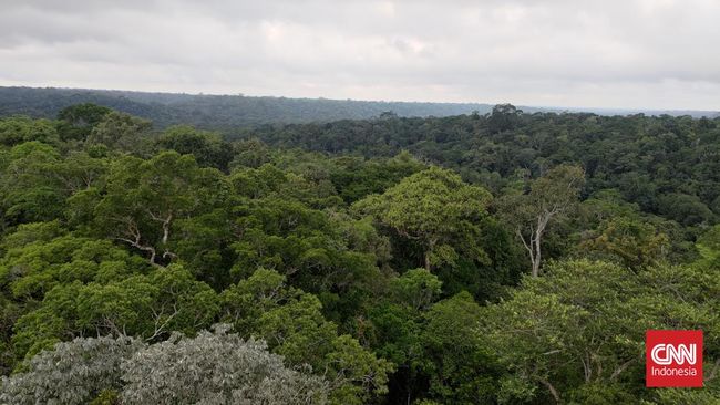 Ada banyak langkah yang dapat kamu ambil untuk menjadi turis yang lebih baik, salah satunya dengan berkunjung ke destinasi ekowisata.