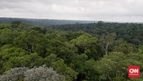 10 Negara Tawarkan Ekowisata Terbaik di Dunia, Indonesia Termasuk