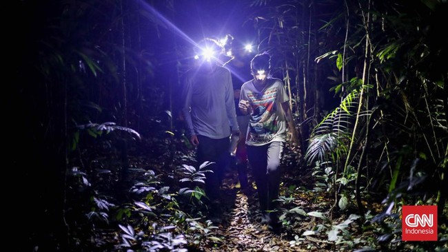 CNN Indonesia berkesempatan berbincang dengan para peneliti di Camp41 di hutan Amazon, Brasil.