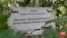 Menjelajah Hingga ke Pusat Riset Camp41 di Perut Hutan Amazon