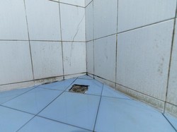 3 Cara Ampuh Bersihkan Lumut di Kamar Mandi, Gampang!