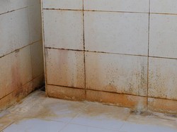 5 Bahan Penghilang Lumut Kamar Mandi, Jadi Bersih dan Kesat