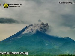 Merapi Muntahkan Awan Panas, 5 Desa di Cepogo Boyolali Hujan Abu