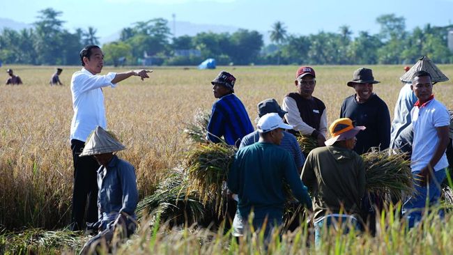 Waduh! Moeldoko Bisiki Jokowi, Ingatkan Ada Ancaman Soal Beras