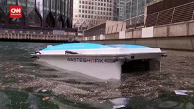 VIDEO: Hiu Robot Pembasmi Sampah Di Lautan
