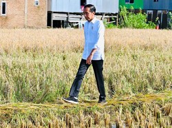 Jokowi Raih Penghargaan FAO, Jejak Sukses 10 Tahun Pembangunan Pertanian