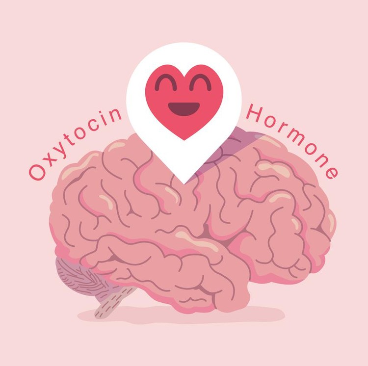 Ilustrasi oksitosin