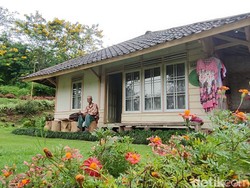 Heboh Rumah Surga di Cianjur Ditawar Rp 2,5 M, Ini Lokasi dan Rutenya