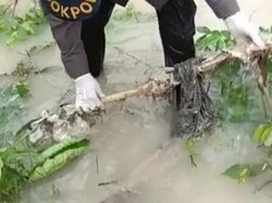Petunjuk Polisi di Lokasi Temuan Tulang Belulang Manusia di Pasangkayu