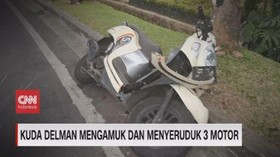 VIDEO: Kuda Delman Mengamuk dan Menyeruduk 3 Motor