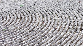 Wamenhaj Akui Ada Penurunan Jemaah Umroh RI Buntut Perang Iran-AS